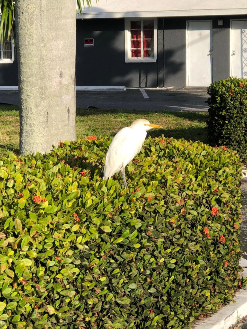Bay Breeze Inn Bradenton Exterior foto
